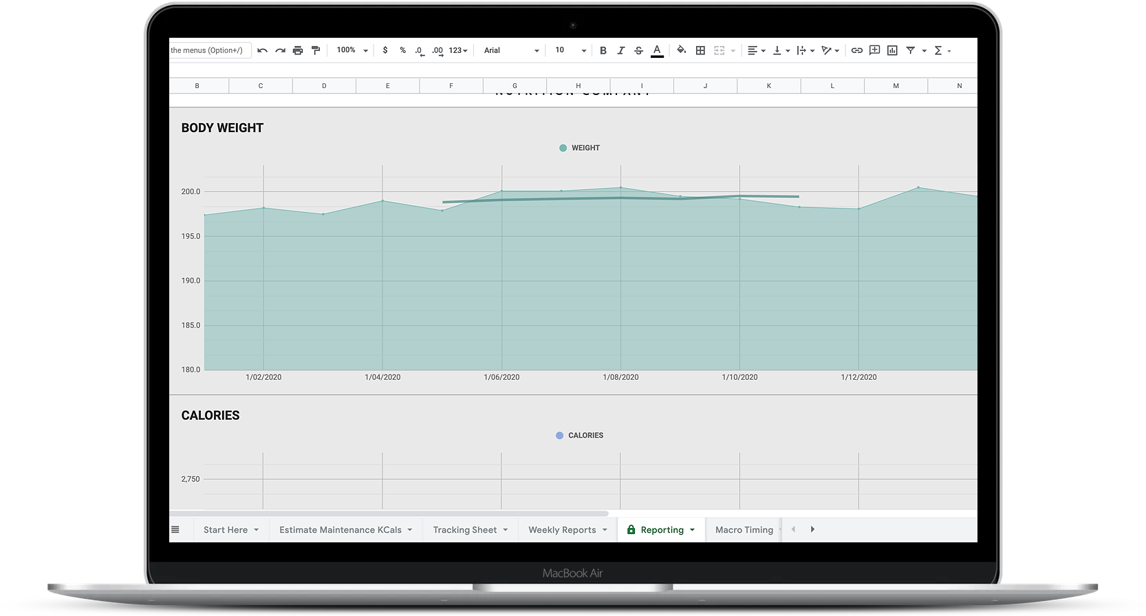 Macronutrient Reporting & Check-In Template Nutrition Coaching Client Progress Sheet