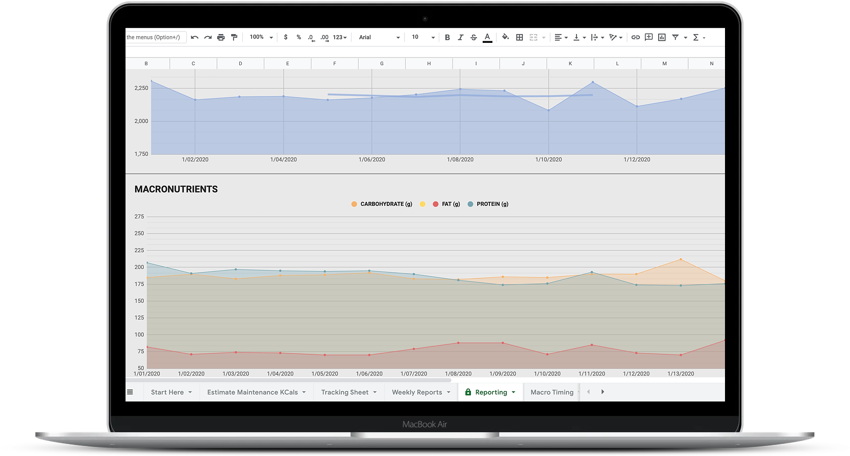 Macronutrient Reporting & Check-In Template Nutrition Coaching Client Progress Sheet