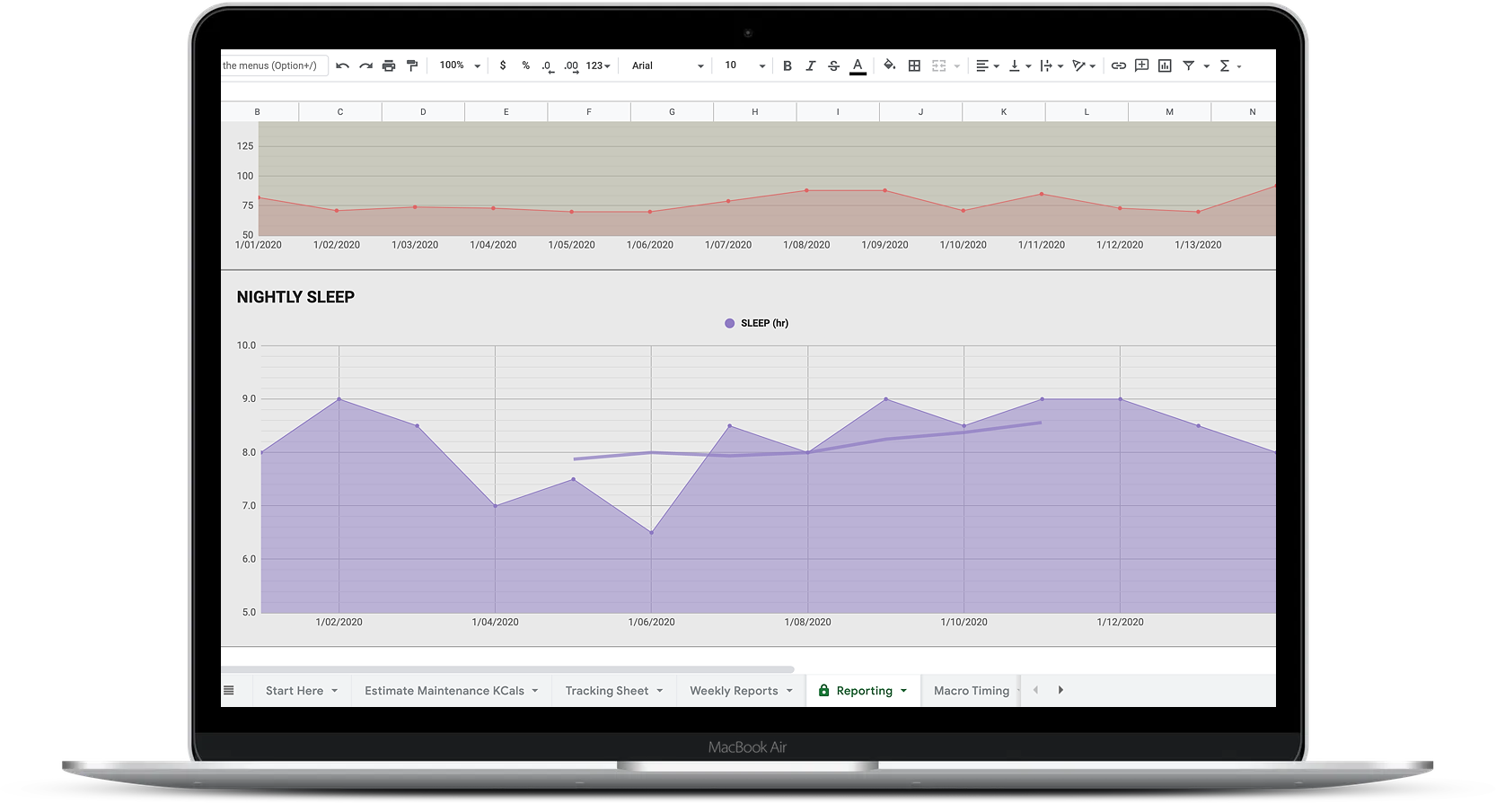 Macronutrient Reporting & Check-In Template Nutrition Coaching Client Progress Sheet